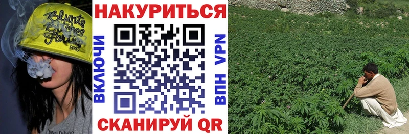 KRAKEN зеркало  Гаврилов Посад  Каннабис SATIVA & INDICA  где купить наркоту 